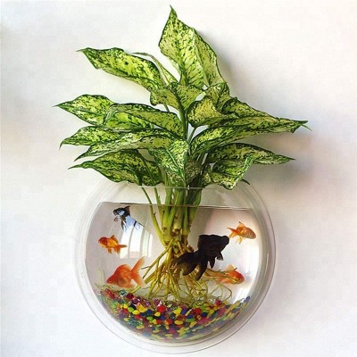 Small Cheap Clear Plastic Acrylic Wall Mounted Semicircle Fish Bowl